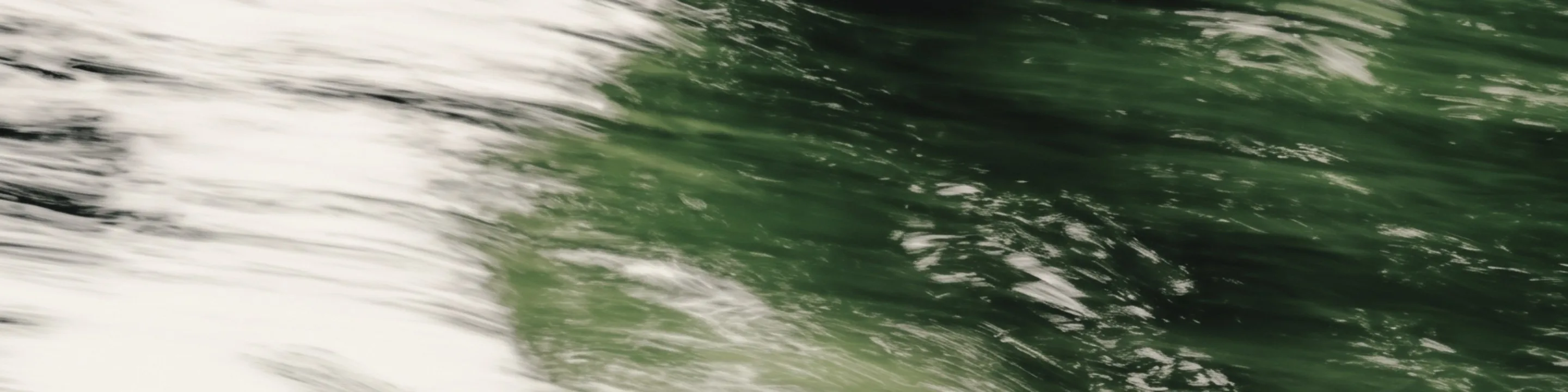 Grasses and leaves caught in motion, a green blur.